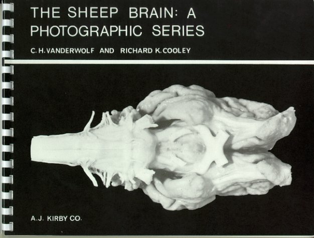 The Sheep Brain: A Photographic Series