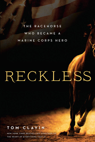 Reckless: the racehorse who became a Marine Corps hero
