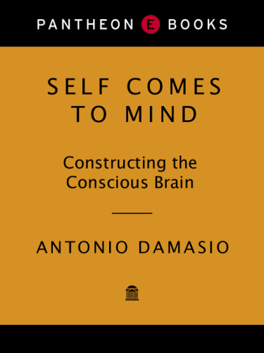 Self comes to mind: constructing the conscious brain