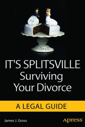 It's splitsville surviving your divorce