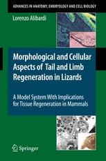 Morphological and Cellular Aspects of Tail and Limb Regeneration in Lizards: A Model System With Implications for Tissue Regeneration in Mammals