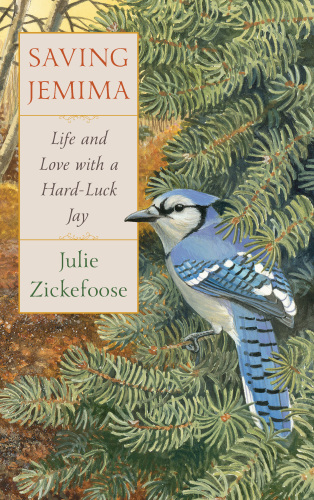 Saving Jemima: life and love with a hard-luck jay