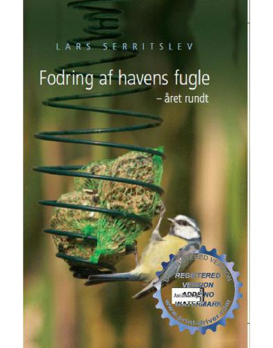 Fodring af havens fugle - året rundt: din guide til rigtig fodring og artsbestemmelse