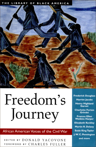 Freedom's journey: African American voices of the Civil War