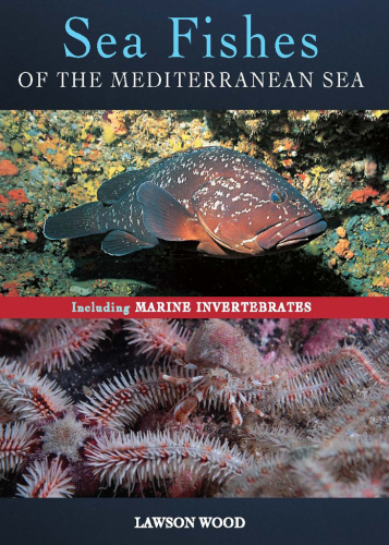 Sea fishes of the Mediterranean including marine invertebrates