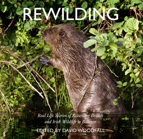 Rewilding: real life stories of returning British and Irish wildlife to balance