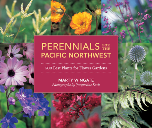 Perennials for the pacific northwest: 500 best plants for flower gardens