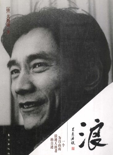 浪: 一个为自由而浪迹天涯者的自述