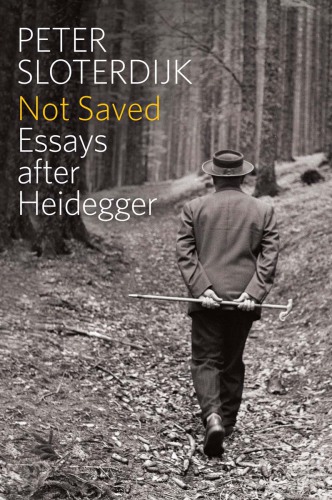 Not saved: essays after Heidegger