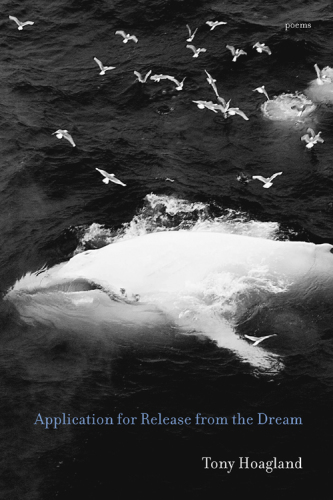 Application for release from the dream: poems