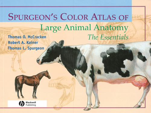 Spurgeon's Color Atlas of Large Animal Anatomy: the Essentials