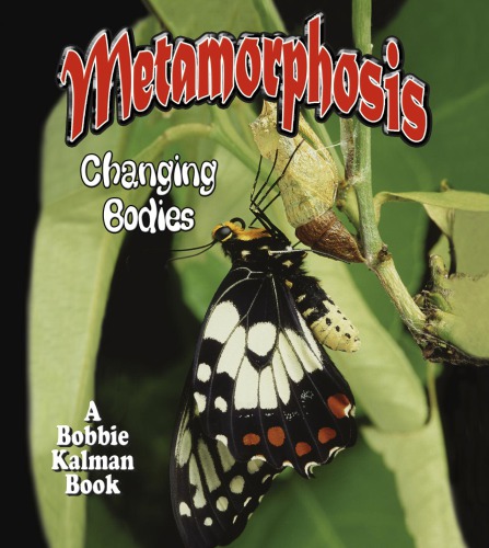 Metamorphosis: changing bodies