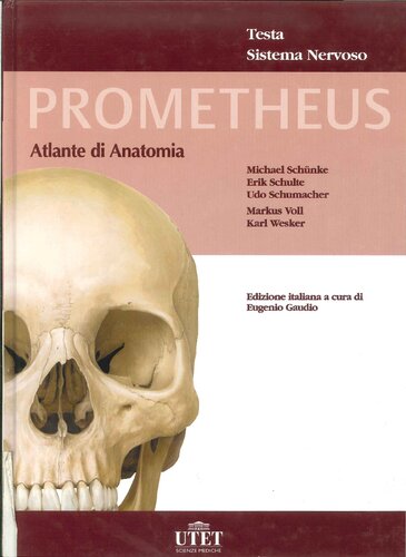 Prometheus. Atlante di anatomia. Testa, sistema nervoso
