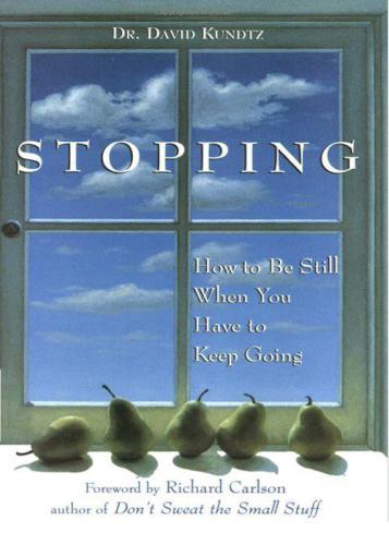 Stopping: How to Be Still When You Have to Keep Going
