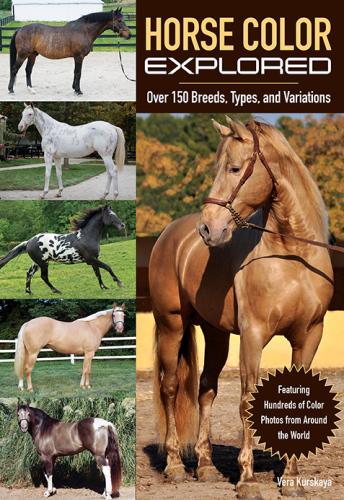 Horse color explored: over 150 breeds, types, and variations
