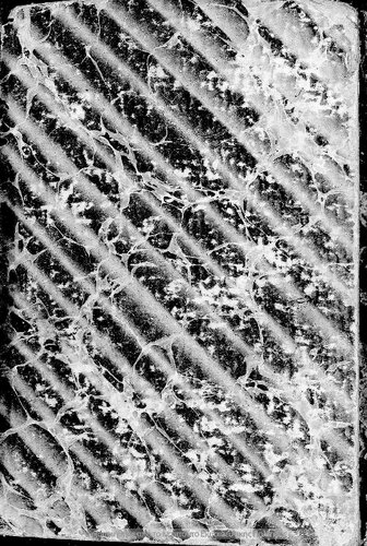 Epitomos latiniki grammatiki pros chrisin ton Ellinikon Scholion ke Gimnasion[1864]