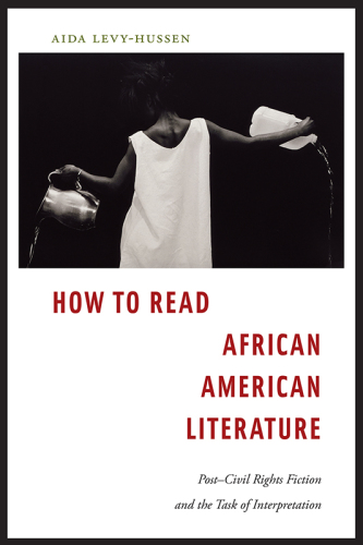 How to Read African American Literature Post-Civil Rights Fiction and the Task of Interpretation