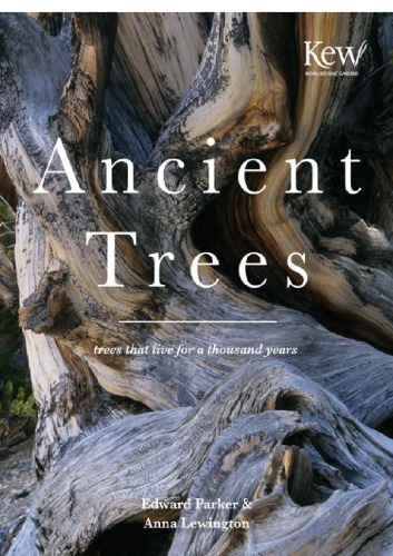 Ancient Trees: Trees that live for a thousand years