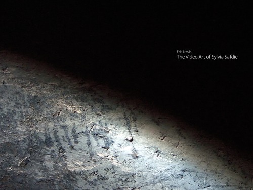 Video Art of Sylvia Safdie