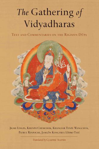 The Gathering of Vidyadharas: Text and Commentaries on the Rigdzin Düpa