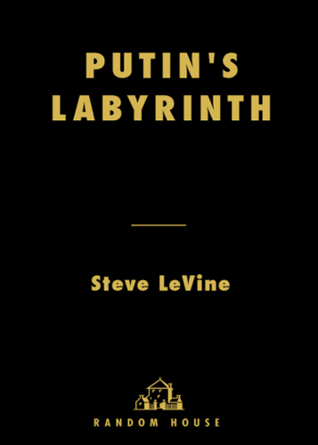 Putin's labyrinth: spies, murder, and the dark heart of the new Russia