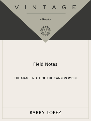 Field notes: the grace note of the canyon wren