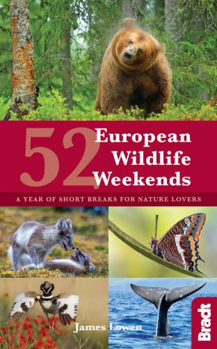 52 European wildlife weekends [2018]: a year of short breaks for nature lovers