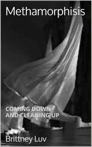 Methamorphisis