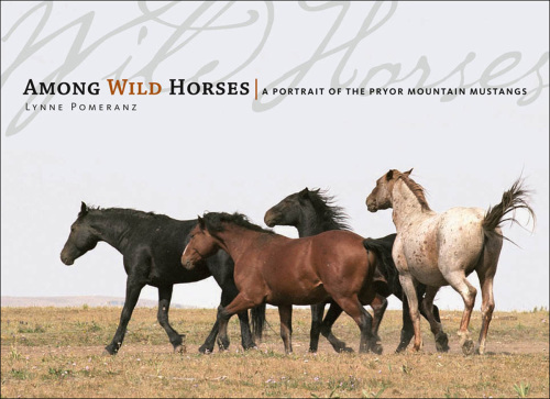 Among wild horses: a portrait of the Pryor Mountain Mustangs