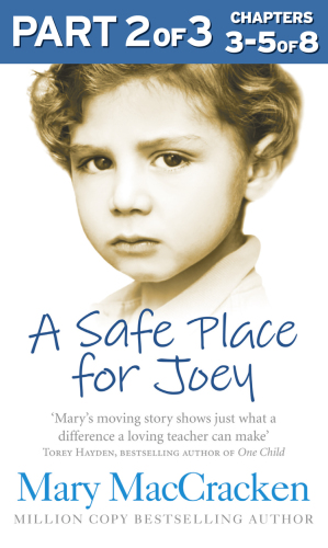 A Safe Place for Joey, Part 2 of 3