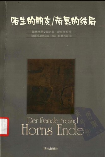 陌生的朋友 荷恩的结局