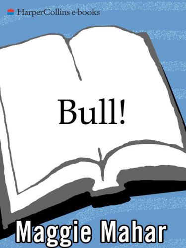 Bull!: a history of the boom and bust, 1982-2004