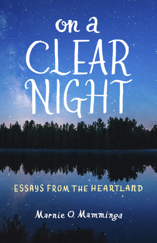 On a clear night: essays from the heartland