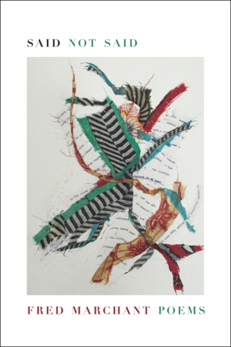 Said not said: poems