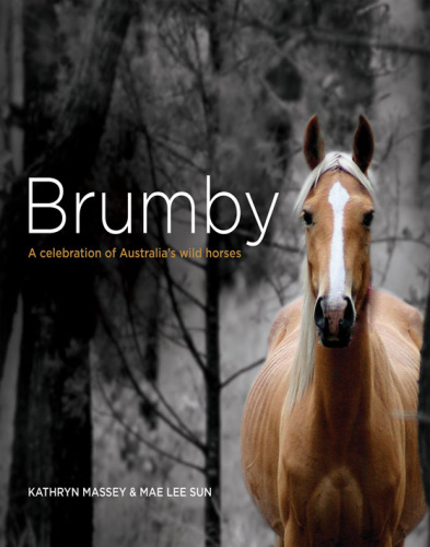 Brumby: a celebration of Australia's wild horses