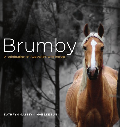 Brumby: a celebration of Australia's wild horses