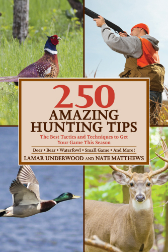 250 amazing hunting tips: the best tactics and techniques to get your game this season -- deer, bear, waterfowl, small game, and more!