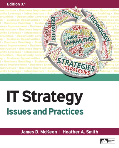 IT strategy: issues and practices