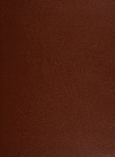 The Historical Encyclopedia of World Slavery