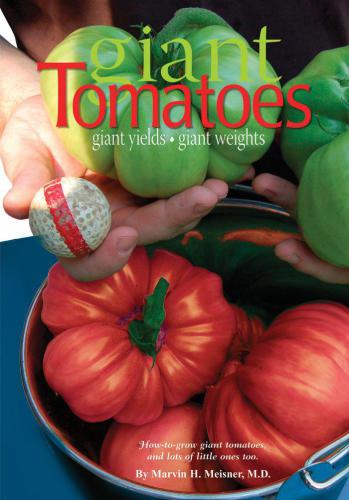 Giant tomatoes: giant yields, giant weights: how to grow giant tomatoes and lots of little ones too