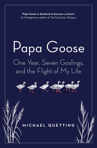 Papa Goose