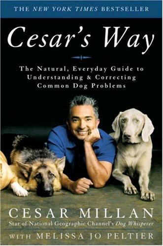 Cesar's way: the natural, everyday guide to understanding and correcting common dog problems