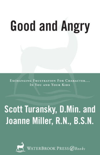 Good and angry: exchanging frustration for character-- in you and your kids