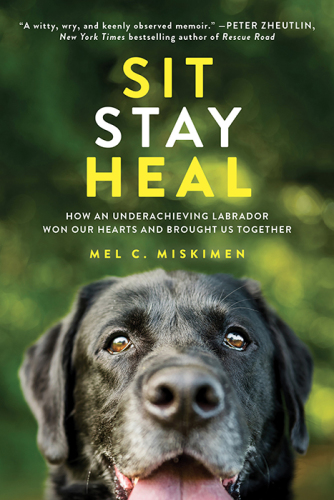 Sit stay heal: how an underachieving Labrador won our hearts and brought us together
