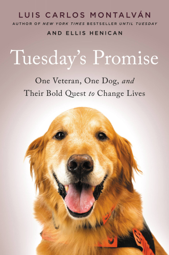 Tuesday's promise: one veteran, one dog, and their bold quest to change lives