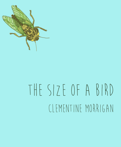 The Size of a Bird