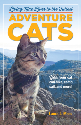 Adventure cats: living nine lives to the fullest