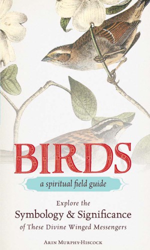Birds--A Spiritual Field Guide