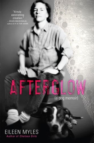 Afterglow (a dog memoir)