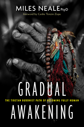 Gradual awakening: the Tibetan Buddhist path of becoming fully human